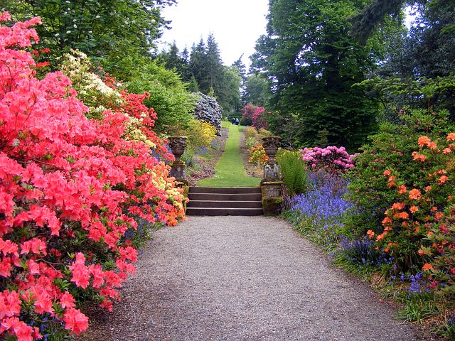 botanical-garden